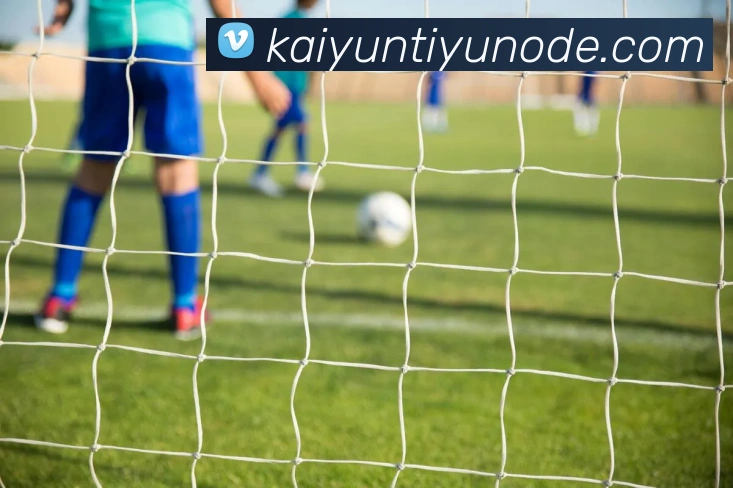 开云体育APP 封面图