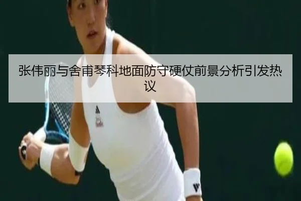 张伟丽与舍甫琴科地面防守硬仗前景分析引发热议